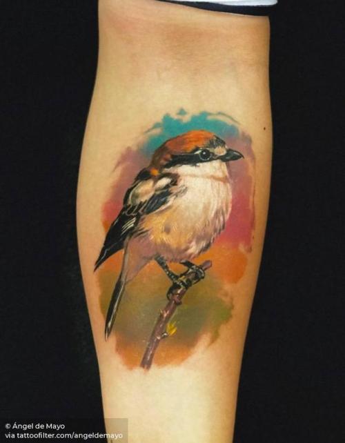 By Ángel de Mayo, done at Ángel de Mayo Tattoo, Alcalá de... angeldemayo;woodchat shrike;animal;bird;facebook;realistic;twitter;inner forearm;medium size