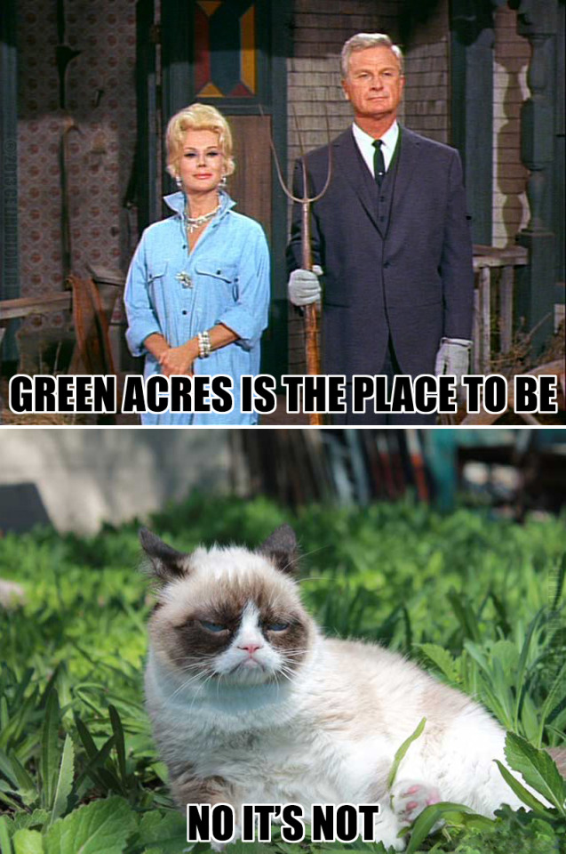 Tard hates Green Acres - What Do You Want?