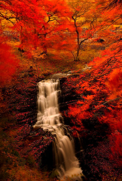 lori-rocks:Scaleber force, in autumn, Yorkshire dales.. by Steve...