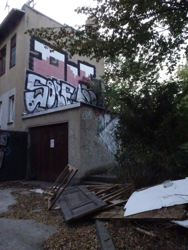 halle 2019