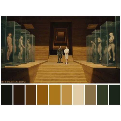 thehistoryofarts:Lets get a look of Roger Deakins work in...