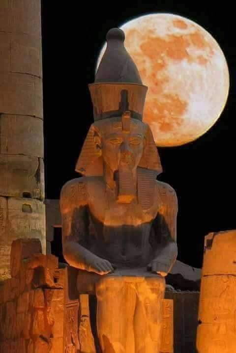 astralninja:Lunar Eclipse over Egypt 2018Credit for photos goes...