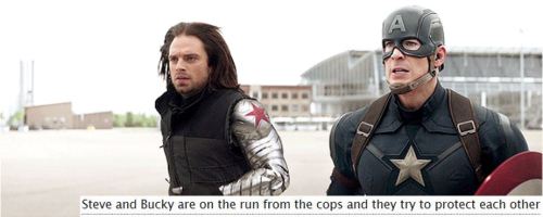 incorrectstevebucky