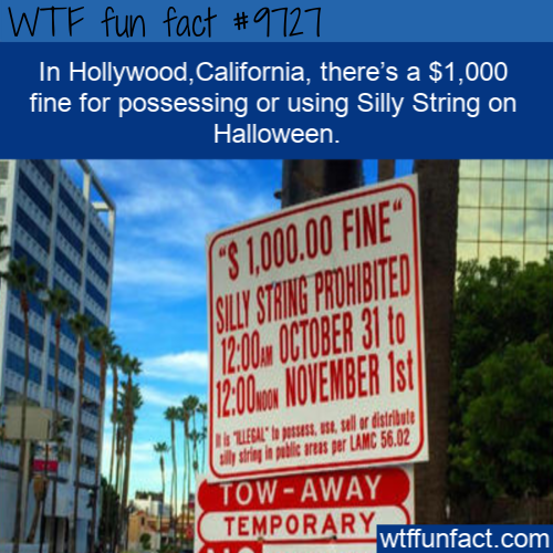 In Hollywood,California, there’s a $1,000 fine for possessing or using Silly String On Halloween.