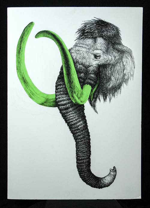 Stella Rebouh | drawing