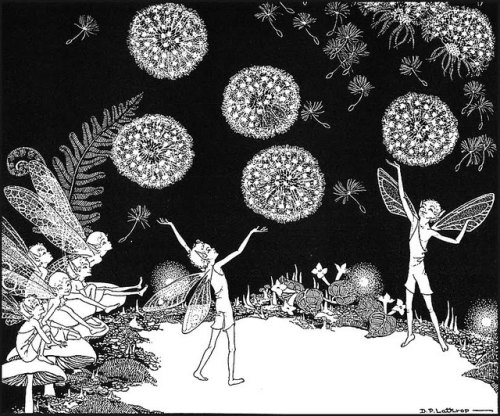 artist-lathrop:Illustration for Fairy Circus, Dorothy Lathrop