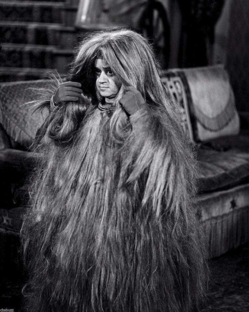 Cousin Itt On Tumblr