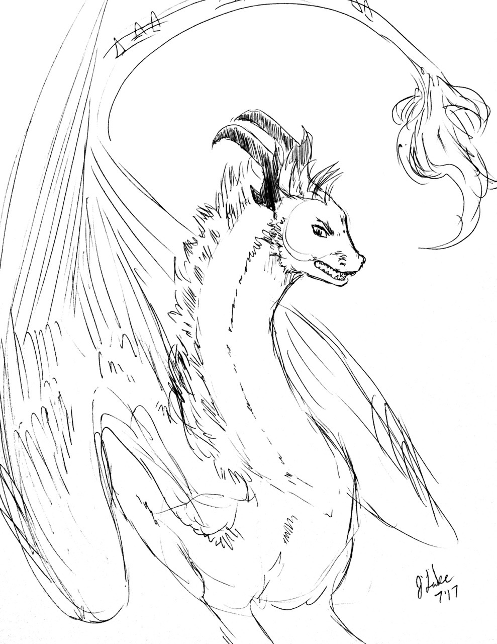 angry dragon sketch