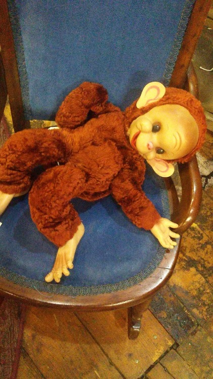 shiftythrifting:I present: a collection of weird monkeys I...