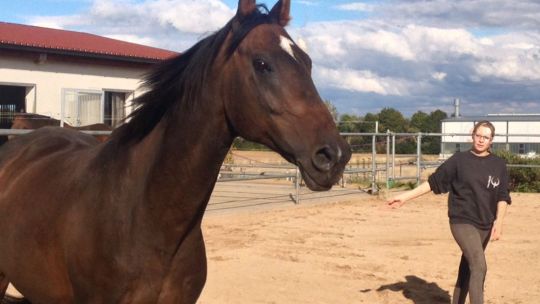 CAV Rassen die Leser reiten Leserfotos Christina Hüttner