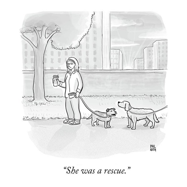 The New Yorker - Instagram's Favorite New Yorker Cartoons ...