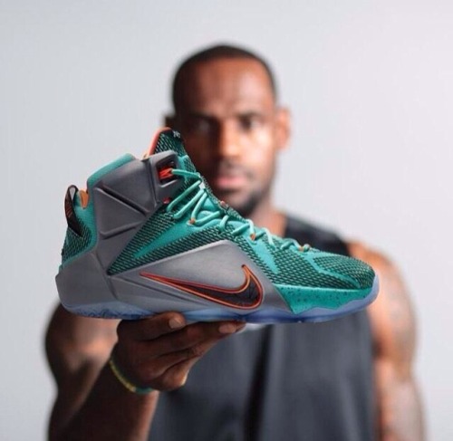 LeBron 12.