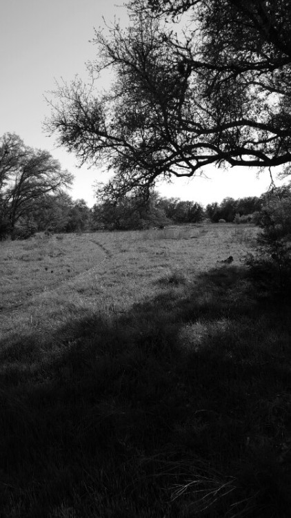 #blacknwhite #backpacking #texas