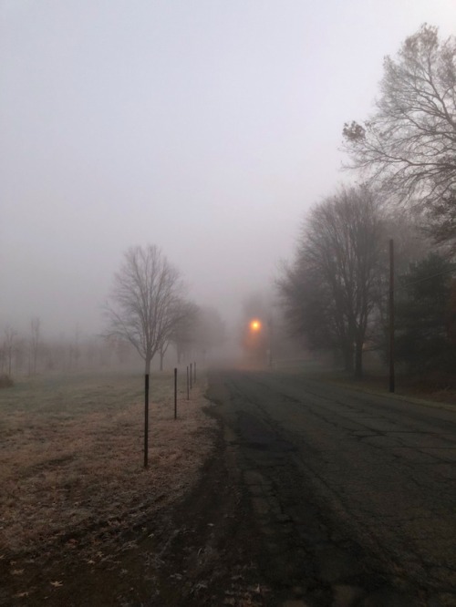 “Sometimes we need the fog to remind ourselves that all of...