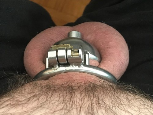 chastityrocks:At least 26 days left!submitted photo, thank...