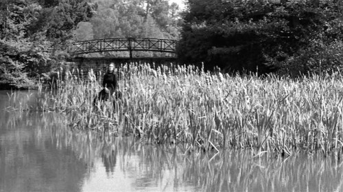 horror-hellabaloo:The Innocents (1961)A strange new...