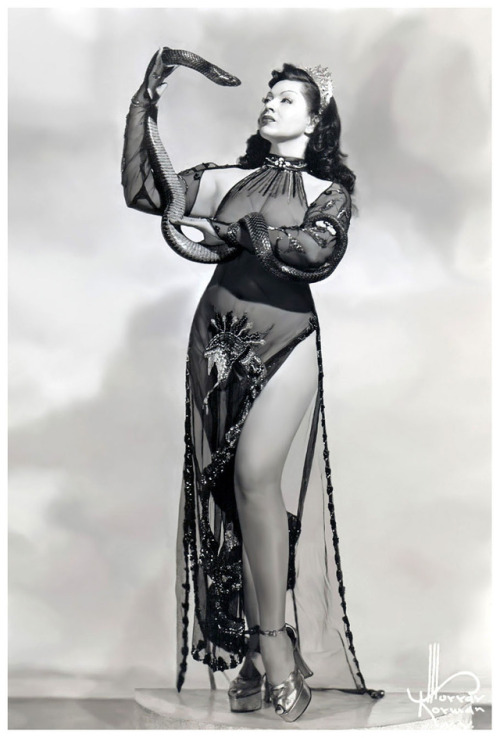 burleskateer:Zorita            (aka. Katherine Boyd Petillo)