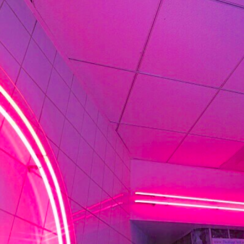 pink neon on Tumblr