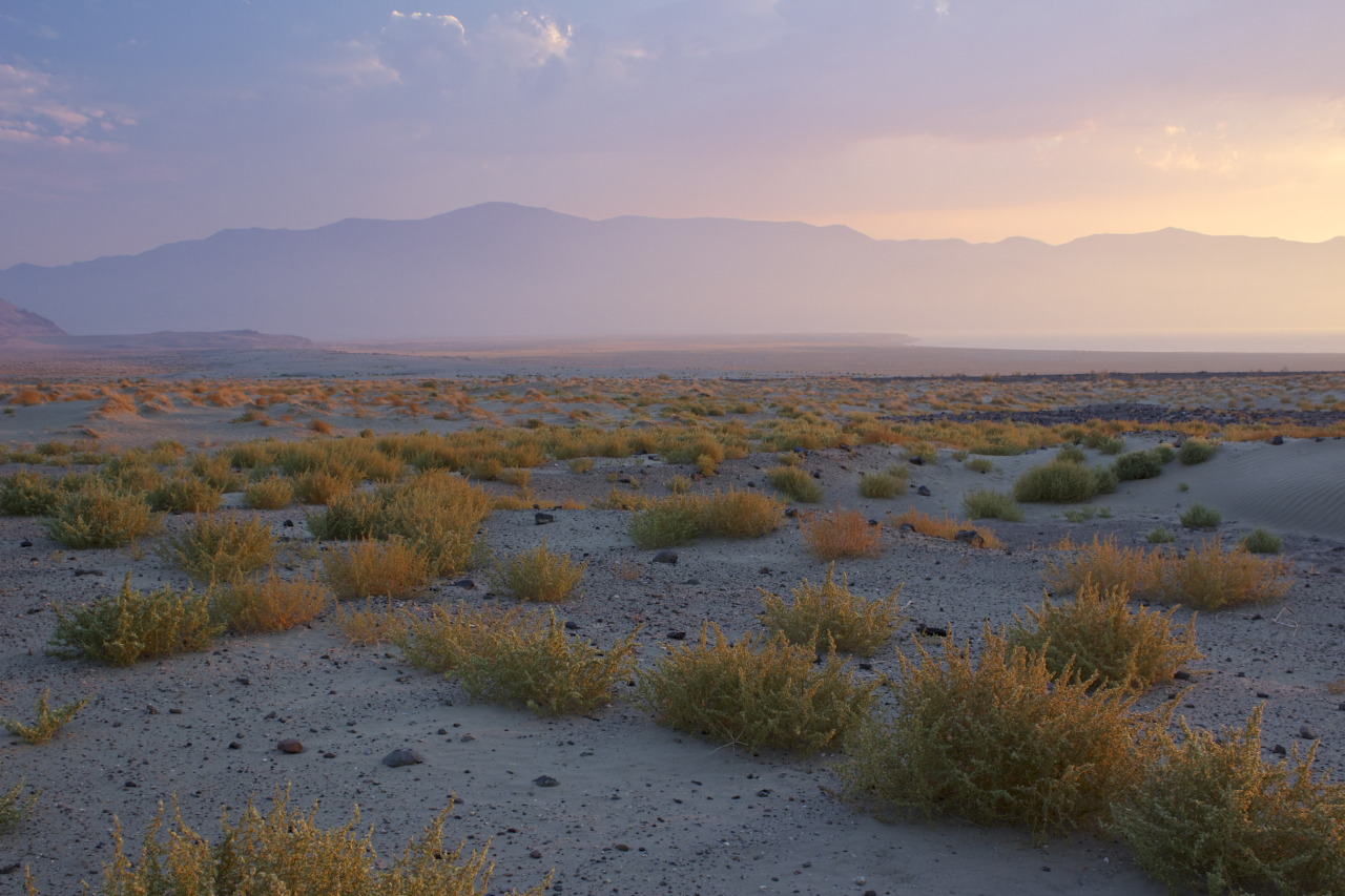 eric-rosenwald-photography-great-basin-desert-near-pyramid-lake