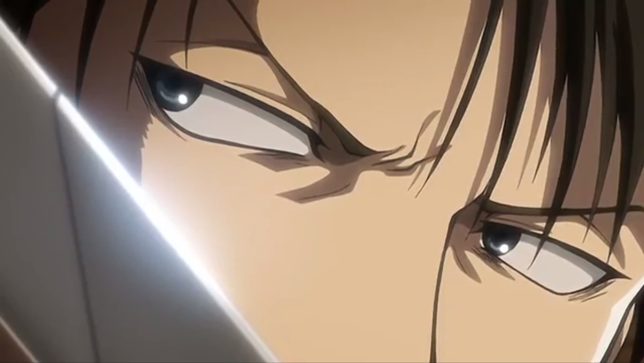 Images Of What Color Eyes Does Levi Ackerman Have.