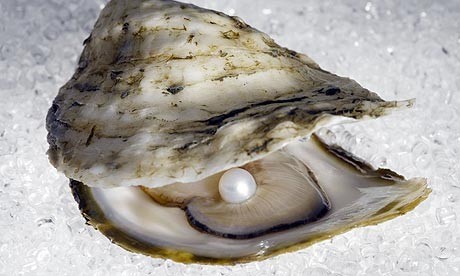 Terushima and oysters because when you open his mouth you will...