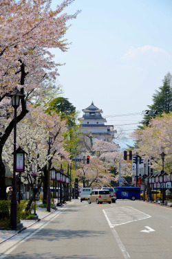 minuga-hana: