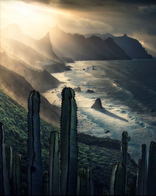 earthporn:
“Setting sun during the “winter” months in Tenerife, Spain by Max Rive (OS) [1080x1350] by: erdeebee
”
