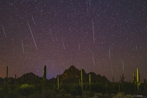 space-pics:Geminids Meteor Shower from Southern Arizona [OC]...