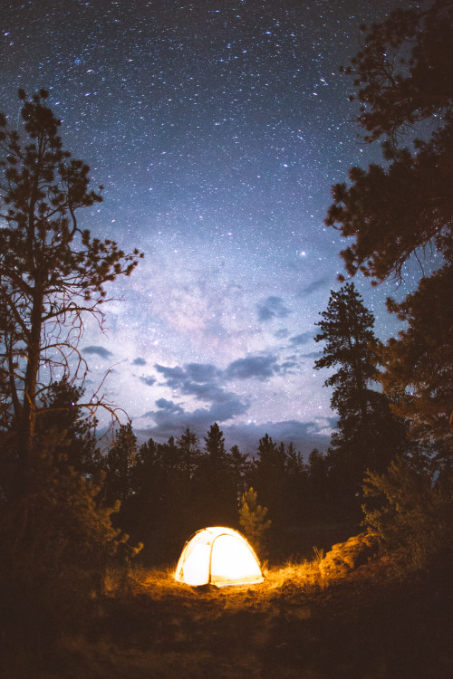 forrestmankins:Camped out in Colorado for the last week of...