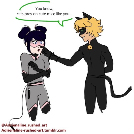 Chat Noir Flirting Tumblr