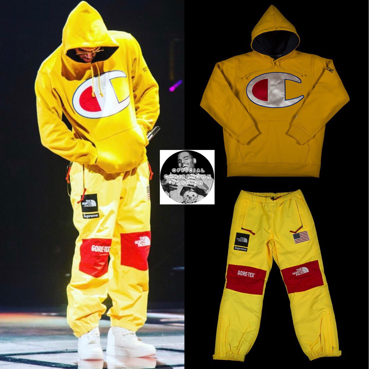 champion x the north face