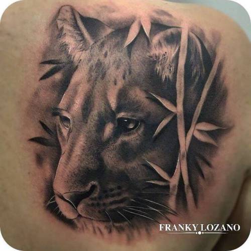 By Franky Lozano, done at La Tinta que Habito Xirivella,... black and grey;feline;lioness;animal;frankylozano;facebook;shoulder blade;twitter;portrait;medium size