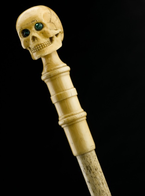 museum-of-artifacts:End of Charles Darwin’s walking stick