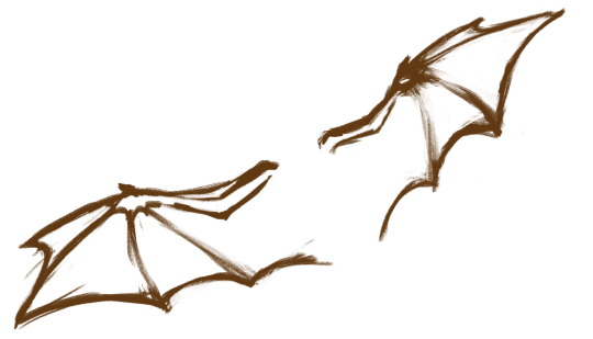 d381acc6d8c5b4b459f1e26113b053e4098d2214