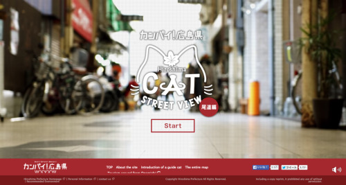 Japan Japanese Cats Maps Street view Tech Mapping Onomichi Hiroshima Cats rule Cat& 039;s eye view Catography