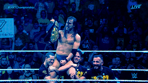 Image result for adam cole nxt 25 gif