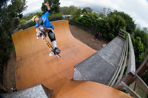 steve caballero vert