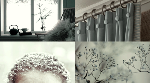 ibuzoo:1000 Picspams Challenge | #508Monthly Aesthetics -...