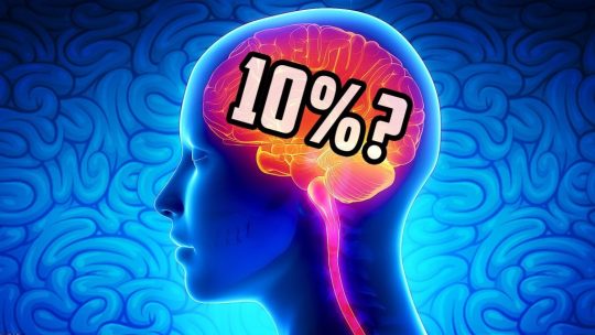 10% of our brains