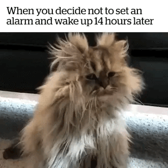 Funny Memes Updated Daily E A Funnyjoke Tumblr Com F F Funny Memes Updated Daily E A Funnyjoke Tumblr Com F F