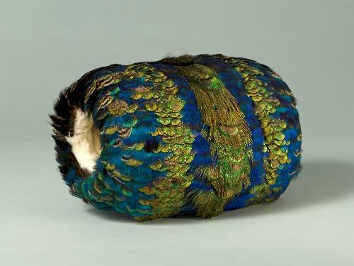 Peacock Feather Muff
1860s
Musée Galliera de la Mode de la Ville de Paris