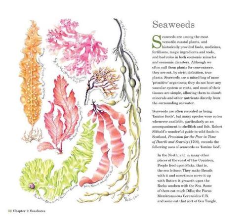 Scottish Plant Lore: an Illustrated Flora By Gregory...