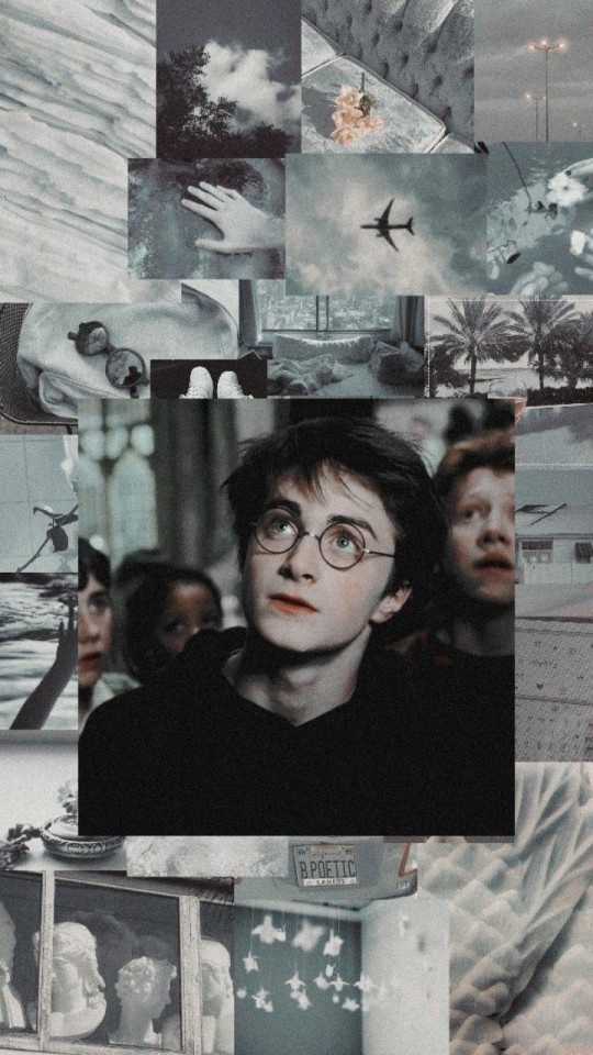 Harry Potter Homescreen Tumblr