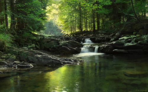 my-shadow-box:Green Stream by shade-pl (Tomasz)