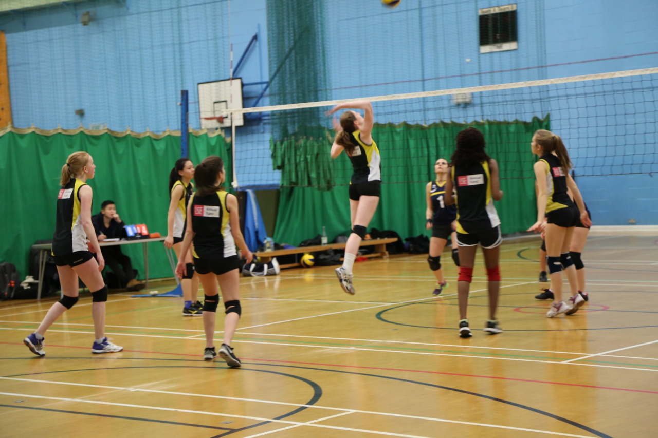 Womens Volleyball Shorts Tumblr Jpg 1280x853 Womens Volleyball Shorts Tumblr Womens Volleyball Shorts Tumblr Jpg 1280x853 Womens Volleyball Shorts Tumblr