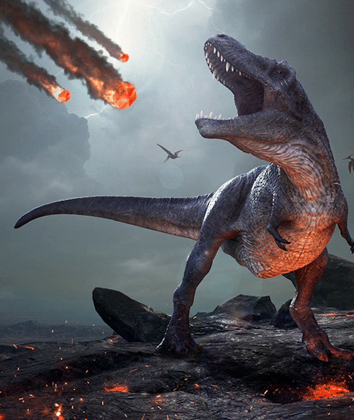 Paleontología y Evolución en la UCM: A solo minutos de la extinción de los  dinosaurios...