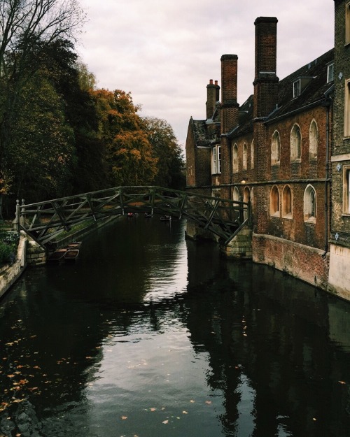 neurorlagy:Cambridge, Nov 4 2017