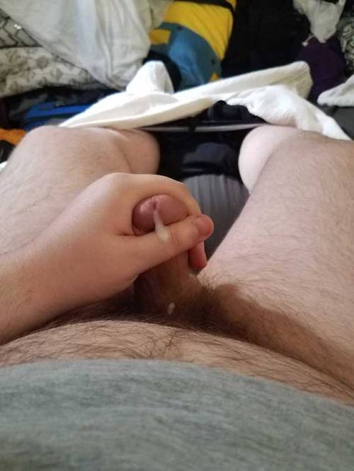 wasted-ent:knotty-pup-cyrus:Morning wood