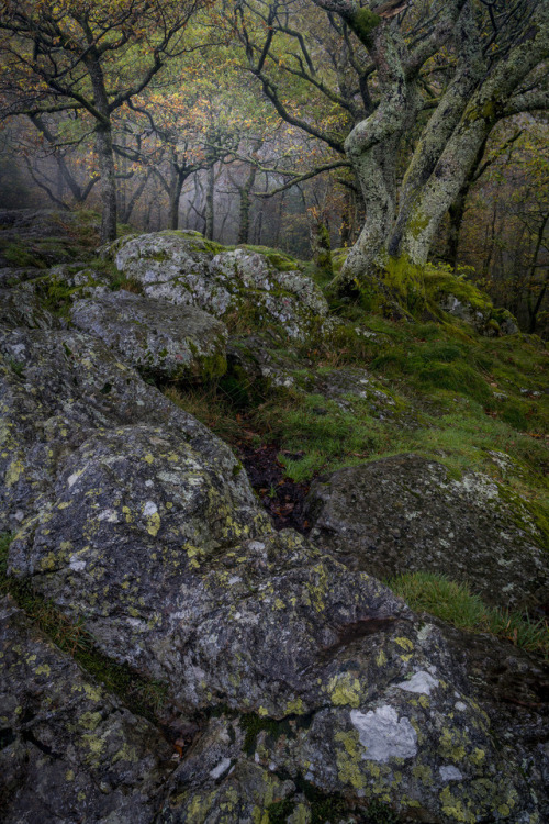 90377:Jenkins Crag by Rob Oliver Facebook | Website