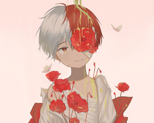 轟焦凍  ❤  Shouto Todoroki